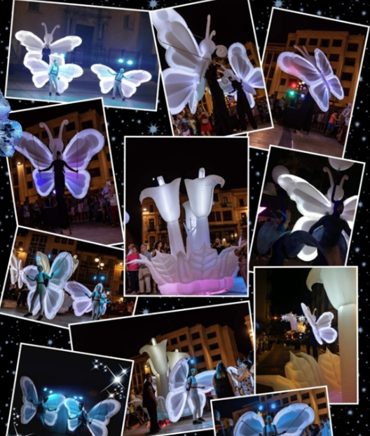Blanc Papillon