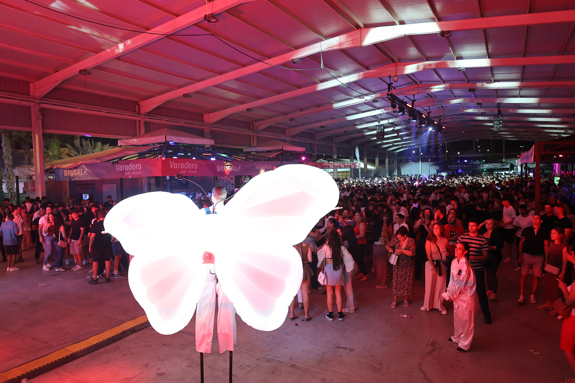Mariposa actuación